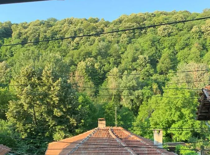 The Base- Balance Hub Гостевой дом *